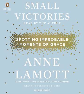 Picture of Small Victories Audiobook
