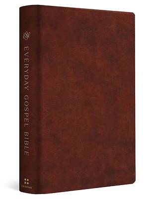 Picture of ESV Everyday Gospel Bible