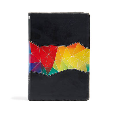 Picture of NIV Rainbow Study Bible