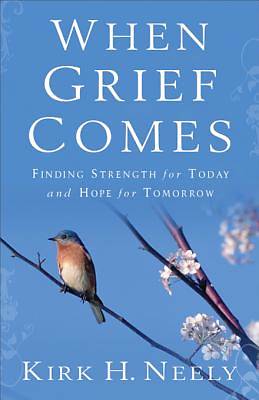 Picture of When Grief Comes [ePub Ebook]