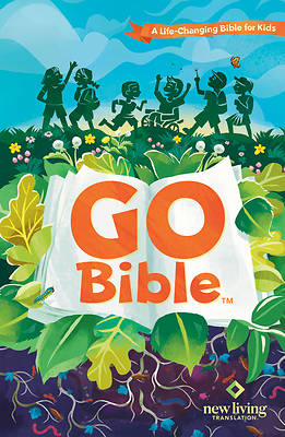 Picture of Go Bible
