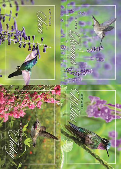 Picture of Hopeful Hummingbirds Get Well Boxed Cards