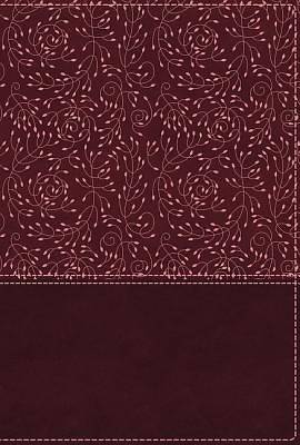 Picture of NRSV Cultural Backgrounds Study Bible, Leathersoft, Burgundy, Comfort Print