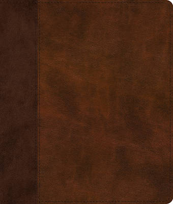 Picture of ESV Journaling Bible (Trutone, Brown/Tan, Timeless Design)