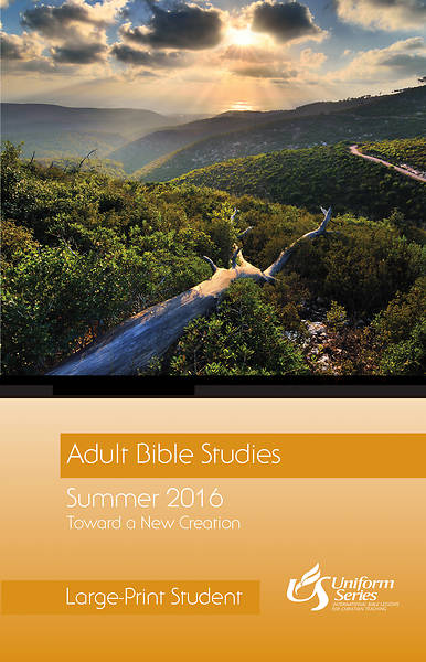 Picture of Adult Bible Studies Summer 2016 Student [Large Print]