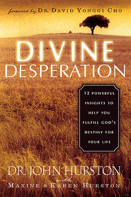 Picture of Divine Desperation