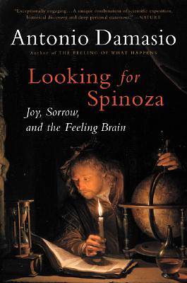 Picture of Looking for Spinoza
