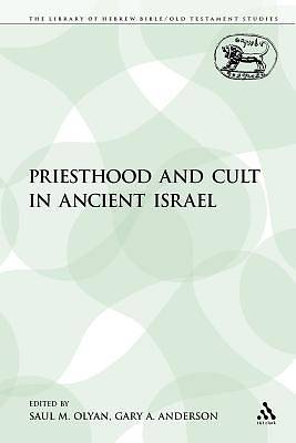 Picture of Priesthood and Cult in Ancient Israel