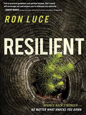 Picture of Resilient [ePub Ebook]