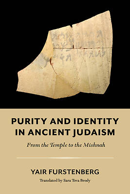 Picture of Purity and Identity in Ancient Judaism