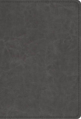 Picture of ESV Student Study Bible (Trutone, Gray)