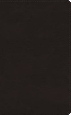 Picture of ESV New Christian's Bible (Trutone, Deep Brown)