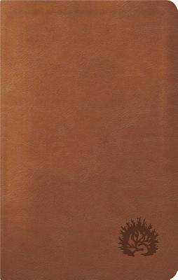 Picture of ESV Reformation Study Bible, Condensed Edition (2017) - Light Brown, Leather-Like