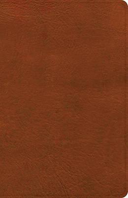 Picture of CSB Large Print Personal Size Reference Bible, Digital Study Edition, Burnt Sienna Leathertouch