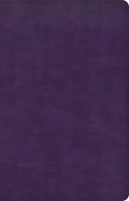 Picture of CSB Thinline Bible, Plum Leathertouch