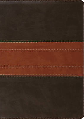 Picture of ESV Study Bible, Large Print (Trutone, Forest/Tan, Trail Design)