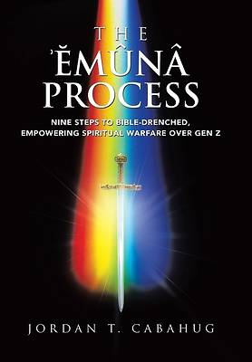 Picture of The Emuna Process