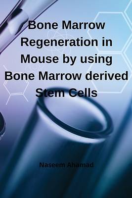 Picture of Bone Marrow Regeneration in Mouse by using Bone Marrow derived Stem Cells