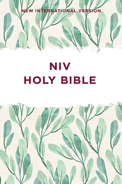 Picture of NIV, Outreach Bible, Paperback (Special) (Case of 28)