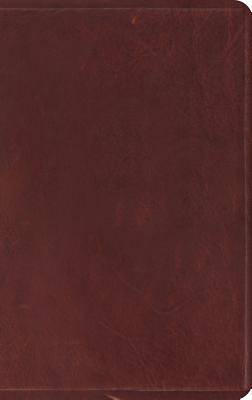 Picture of ESV Thinline Bible (Brown)