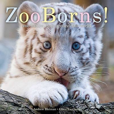 Picture of Zooborns!