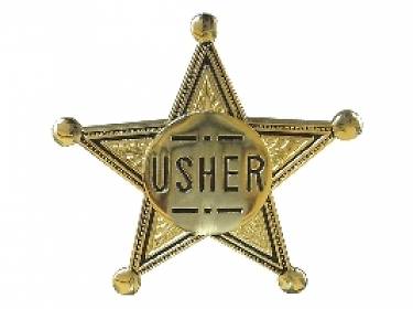 Picture of Pointed Gold Star Usher Pin-On Badge