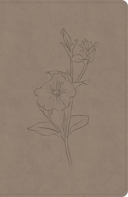 Picture of CSB Personal Size Giant Print Bible, Digital Study Edition, Earth Suedesoft Leathertouch