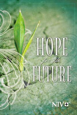 Picture of NIV Hope for the Future New Testament, Question Edition