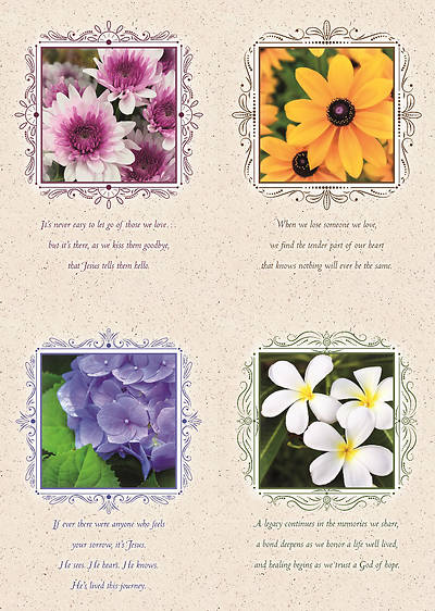 Picture of Portraits of Peace Sympathy Boxed Cards