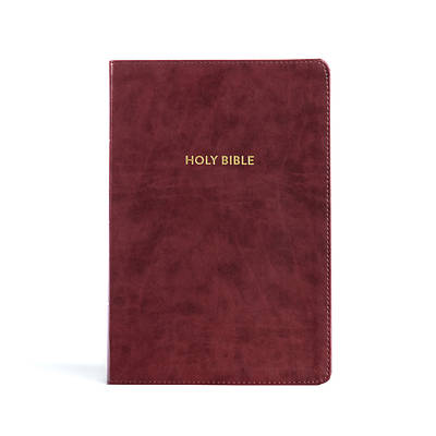 Picture of KJV Rainbow Study Bible, Burgundy Leathertouch