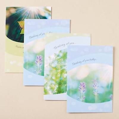 Picture of Sunny Sentiments - Thinking of You Boxed Card - Box of 12
