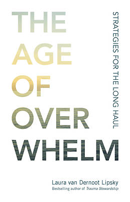 Picture of The Age of Overwhelm