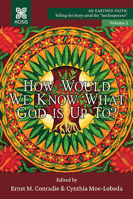 Picture of How Would we Know what God is up to?