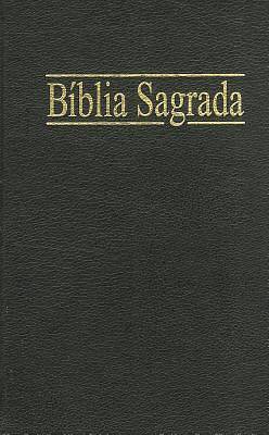 Picture of Biblia Segrada-FL