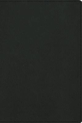 Picture of Nbla, Biblia Para La Lectura Pública, Versificada, Letra Grande, Piel de Cabra, Verde