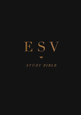 Picture of ESV Study Bible (Black)