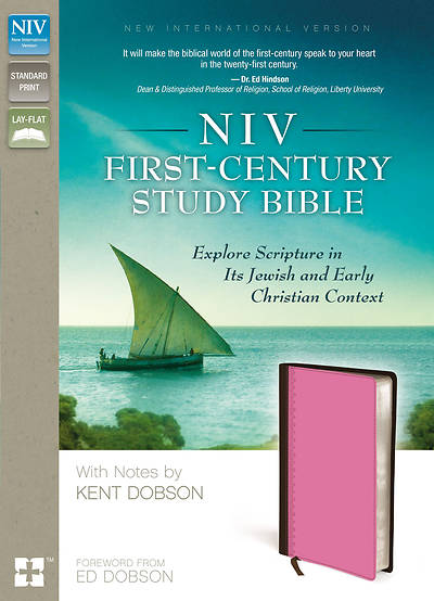 Picture of NIV Cultural Background Study Bible