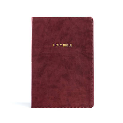Picture of KJV Rainbow Study Bible, Burgundy Leathertouch, Indexed