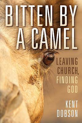 Picture of Bitten by a Camel