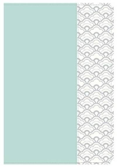 Picture of HCSB Compact Ultrathin Bible, Mint Green Leathertouch
