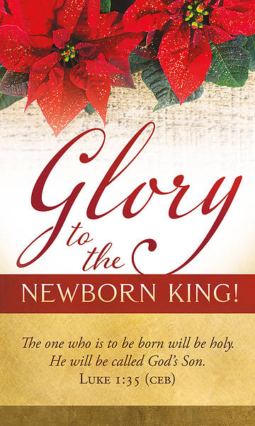 Banner Glory to the Newborn King Christmas 3 x 5 Vinyl