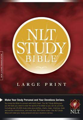Picture of NLT Study Bible Large Print