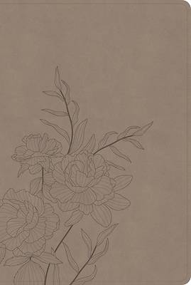 Picture of CSB Large Print Thinline Bible, Digital Study Edition, Earth Suedesoft Leathertouch