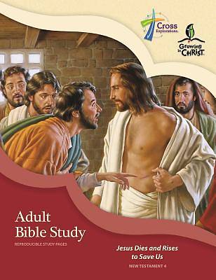 Picture of Adult Bible Study (Nt4)