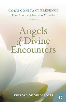 Picture of Angels & Divine Encounters