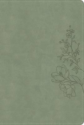 Picture of CSB Large Print Thinline Bible, Digital Study Edition, Sage Suedesoft Leathertouch