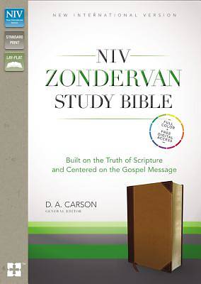 Picture of NIV Zondervan Study Bible, Indexed