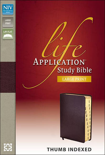 Picture of NIV Life Application Study Bible, Large Print