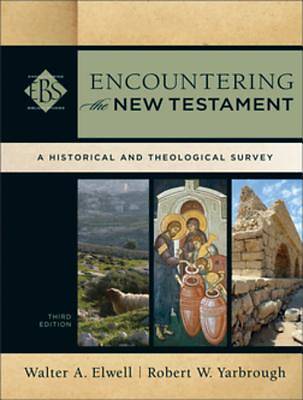 Picture of Encountering the New Testament - eBook [ePub]