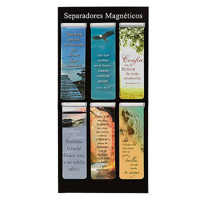 Picture of Separadores Magneticos
